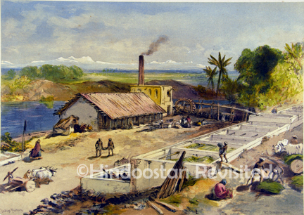 /data/Original Prints/Noteable Artists and Works/INDIGO FACTORY BENGAL.jpg